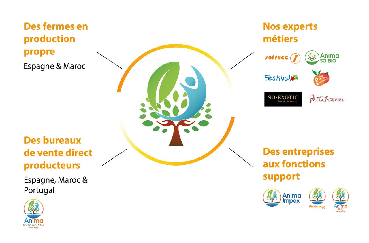 carte-organisation-pole-agroalimentaire carte-organisation-pole-agroalimentaire-groupe-hoceg