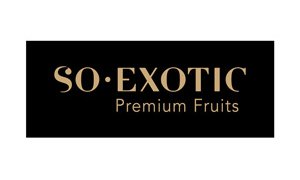logo-so-exotic logo-philafrance-entreprise-hoceg-group