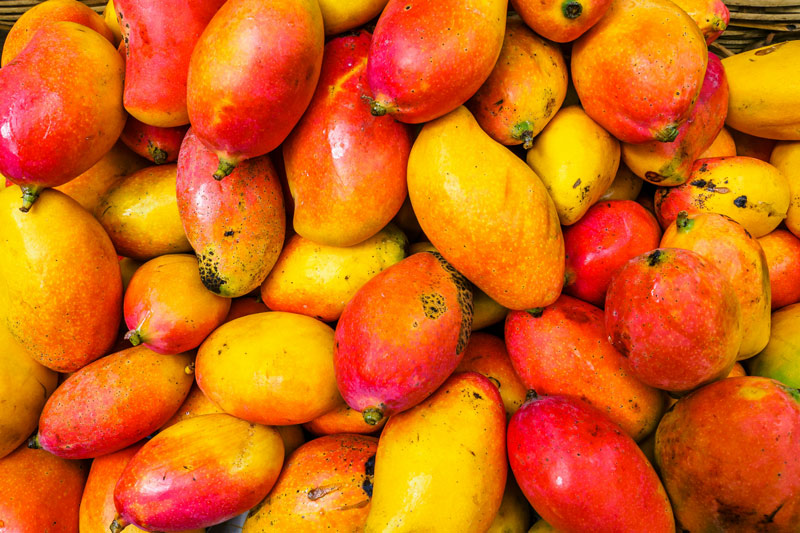 so-exotic-distribution-fruits-exotiques-europe-hoceg-group saint-charles-primeurs-specialiste-grossiste-et-reseaux-distribution-fruits-legumes-hoceg-group
